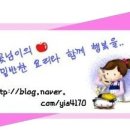 댕댕이를 부탁해 이미지
