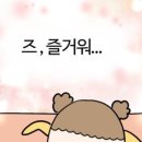 마루콩콩 이미지