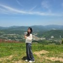 (주)휘닉스고속관광 | 평창 가볼만한곳 휘닉스파크 곤돌라｜몽블랑 이용정보 및 전망 후기