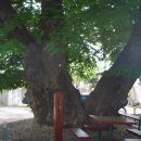 현동면사무소 이미지