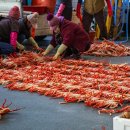 대게유래비(거일2리) 이미지