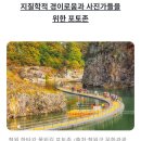 금수강산 이미지