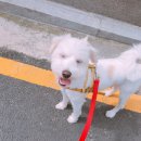 보고유치원 이미지