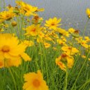 라이프스타일 비즈니스가 온다 이미지