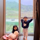 충북 괴산자연드림파크 :: 괴산자연드림파크 조식, 수영장, 자연드림 베이커리 카페🥖