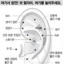 하루 10분 귀 마사지로 건강해지기 이미지