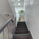 에덴 애견 유치원 호텔 이미지