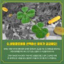 갑부푸드