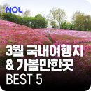 호텔런더너신항용원점 | 3월 국내 여행지 추천! 가장 먼저 봄을 맞이하는 3월 가볼만한곳 BEST 5