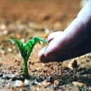 우주슈퍼마켓 이미지