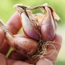 오상농장 이미지