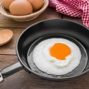 개를 위한 하루 이미지