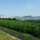 태정공인중개사사무소 이미지