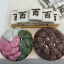 서울떡방아 | 신마산 댓거리 경남대 떡집 추천! '서울떡방아' 믿고 먹는 단골 떡집-아기 백일떡 주문