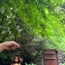 숲속의작은마을 이미지