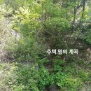 오션파크 민박 이미지