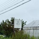 샬롬민박 | 포항 호미곶 숙소 포항 가족여행 숙소 샬롬민박 사랑방 후기 (애견 동반 가능)