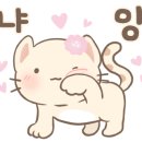 해피그루밍 이미지