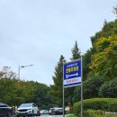 문수국제양궁족구장 | 울산 가볼만한곳 추천 캠프닉 취사 가능 문수힐링피크닉장 가을 당일치기