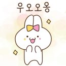 이츠펫 두정점 네이버블로그