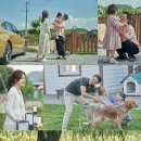 바람이분다 이미지