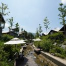 버드글램핑 이미지