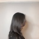 살롱드포레 - 용인시 수지구 | 살롱드포레