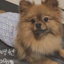 노아동물병원 이미지