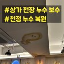 원미상가 | 부천 원미구 상가 누수 천장 복원 석고 교체 및 페인트 보수 천정 보수