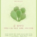 할렐루야호떡 - 여수시 학동북4길 7 | 할렐루야호떡