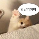 김바나(24), 선우오빠를 만나고 오다.