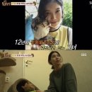 현씨농장 이미지