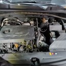 몽키개러지 이미지