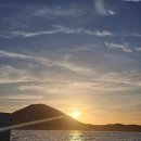 일출봉낚시 | 제주 동쪽 스텔라2호 체험배 낚시 후기 (가족여행 + 한치 & 무늬오징어)