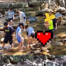 현무태권도 이미지