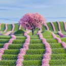 백운 태양광발전소 이미지