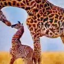 찬스공인중개사사무소 이미지