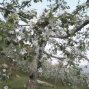 도연농원 이미지