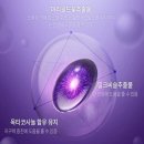 플러스건강기능