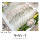 속초 동명항 횟집 왕건횟집 내돈내산 찐만족