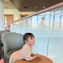 데레사유치원 | 유럽 감성 아이옷 추천 - 너무 예쁘고 재질 좋은 &#34;아폴리나&#34; 25ss 공홈 구매후기