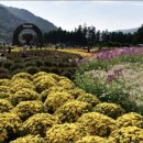 용대관광지2 이미지