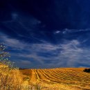 칸타빌레 바이올린 이미지