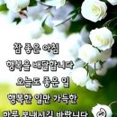 개개인