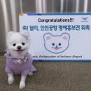 우리 가족 여행 포토에세이 | [독서] 세상 끝까지 달려 보자! 달려라, 달리!