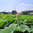 두리 한우 농장 이미지