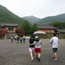 표충사2 이미지