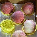 첨단우리약국 | 뽀민아 첫 돌 축하해 👼🏻 8월 마무리 (8/18 - 31)