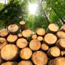 경주수산유통 이미지