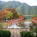 대청호코스 이미지